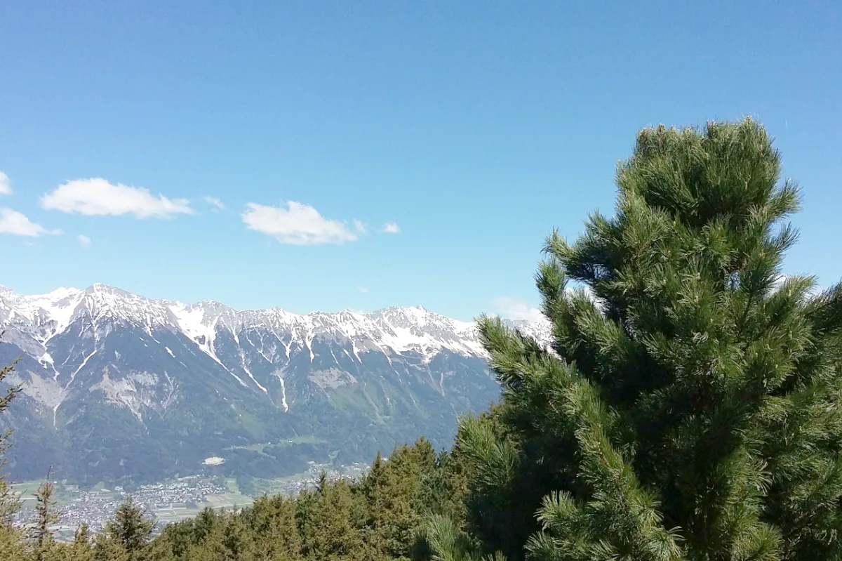 Zirben_Berg